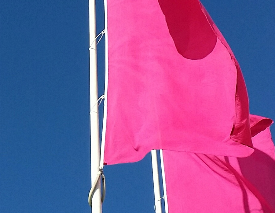 How to Spot Pink Flags Before They Derail Your Next Change Initiative Do Change Right